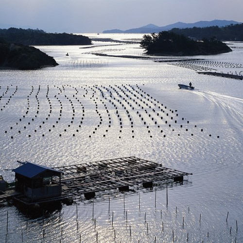 EC guidance on sustainable aquaculture