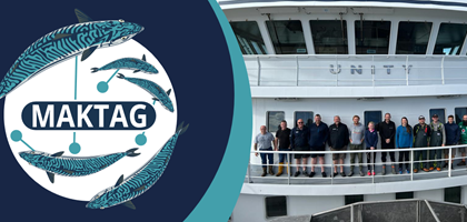 Introducing MAKTAG, internal tagging of Atlantic Mackerel (Scomber scombrus) in the North Sea.