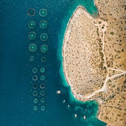 aerial of fish farm