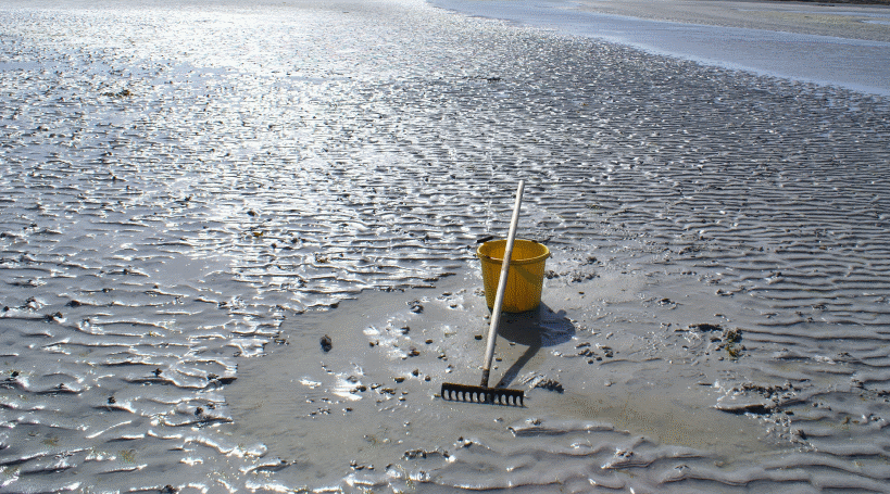 sandy beach with a bucket and rake