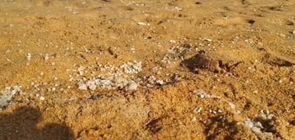 Plastic pollution on a beach in Sri Lanka