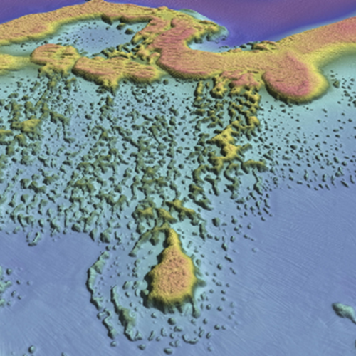 a computer generated map of the seabed
