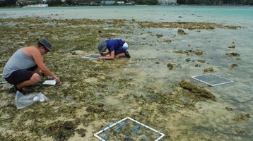 two people in a seagrass field by the water conducting scientific experiments