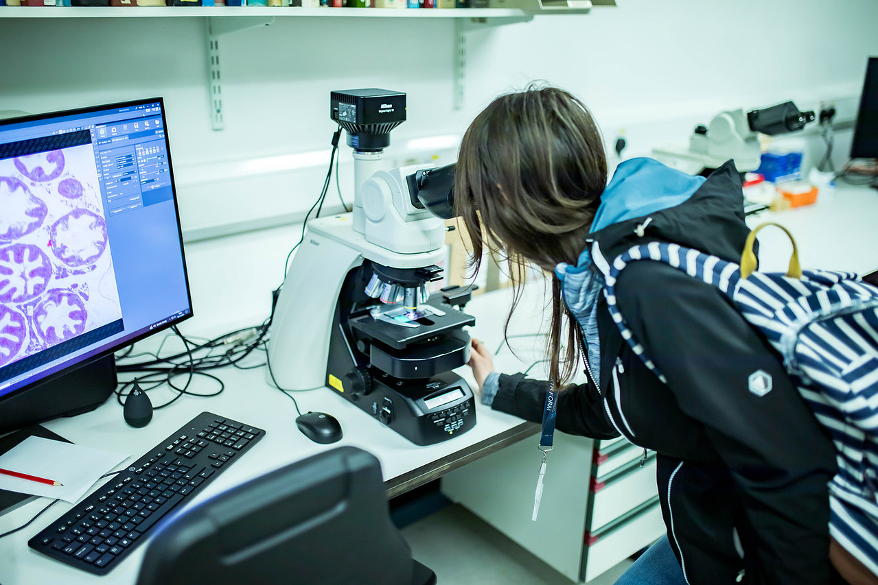 A person looking down a microscope in laboratory