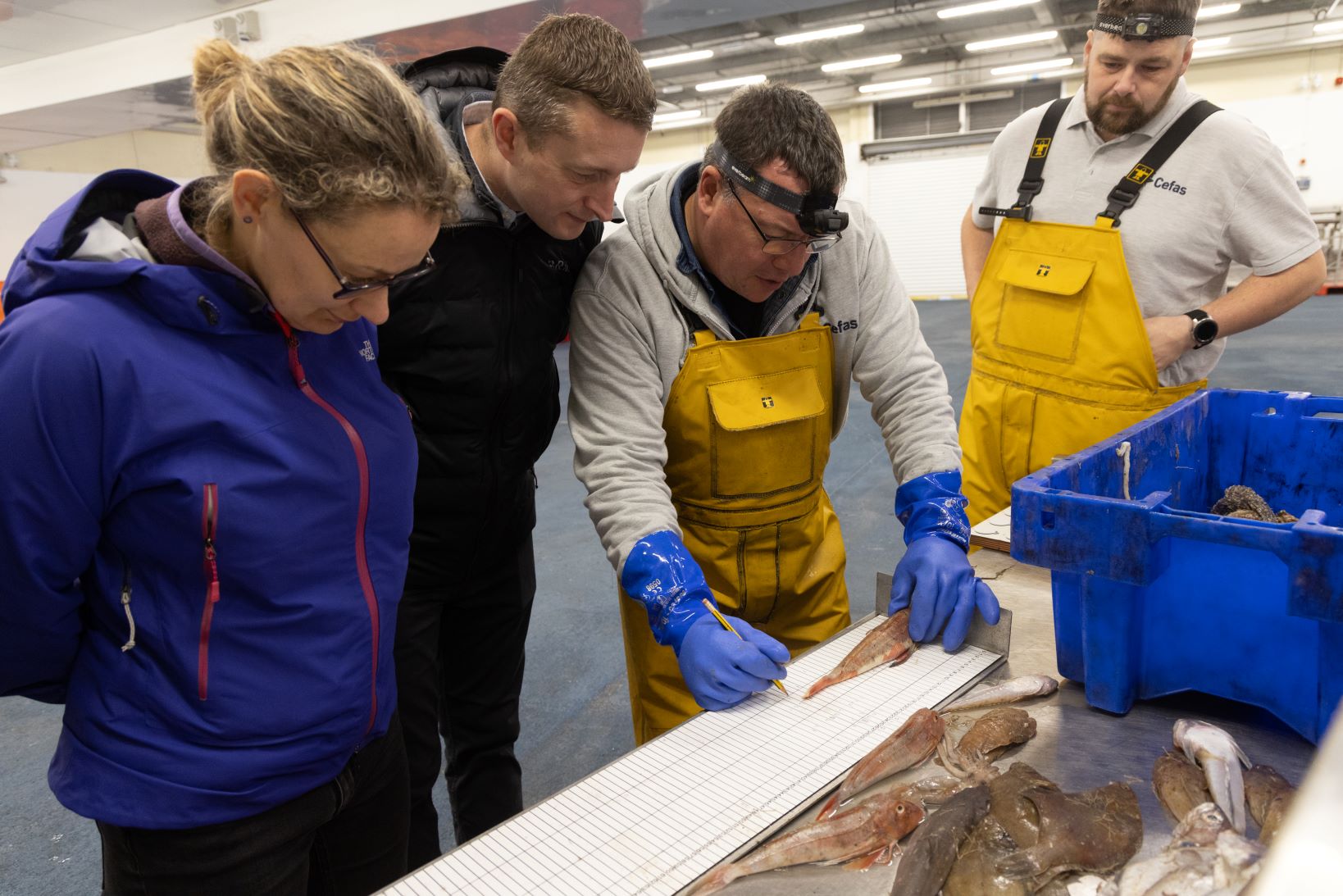 A group of people measuring fish and marking it on a measuring board