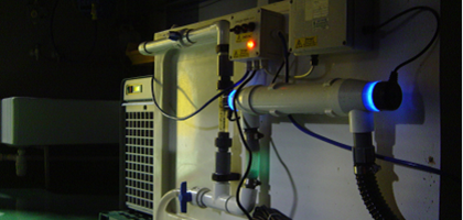 shellfish depuration system