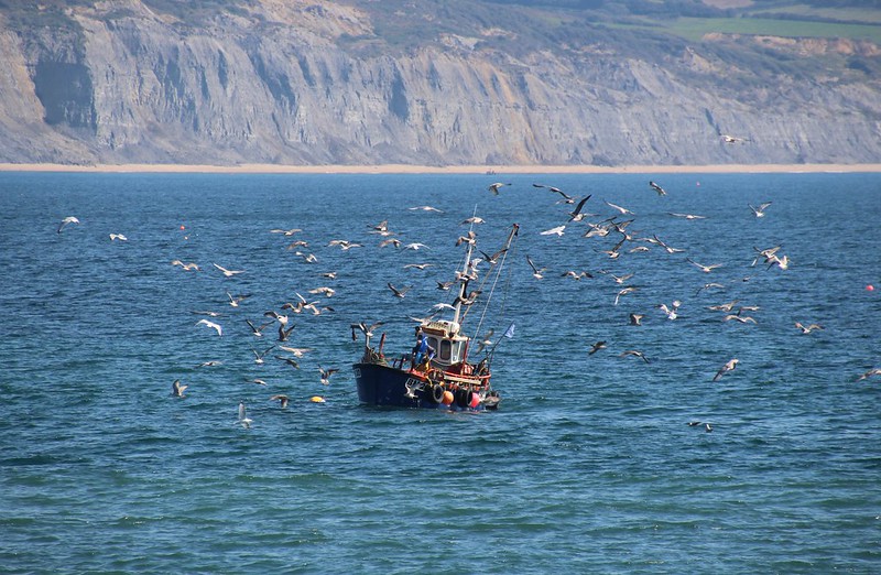 Fishing boat