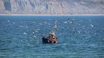 Fishing boat