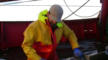 Fisheries Observer Programme