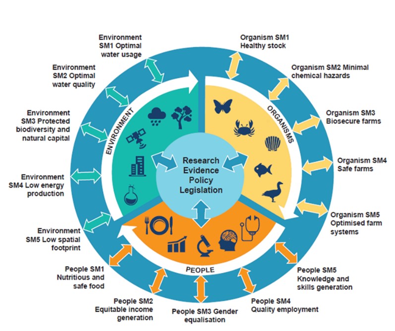 Diagram to explain the One Health aquaculture approach