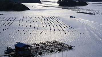 EC guidance on sustainable aquaculture