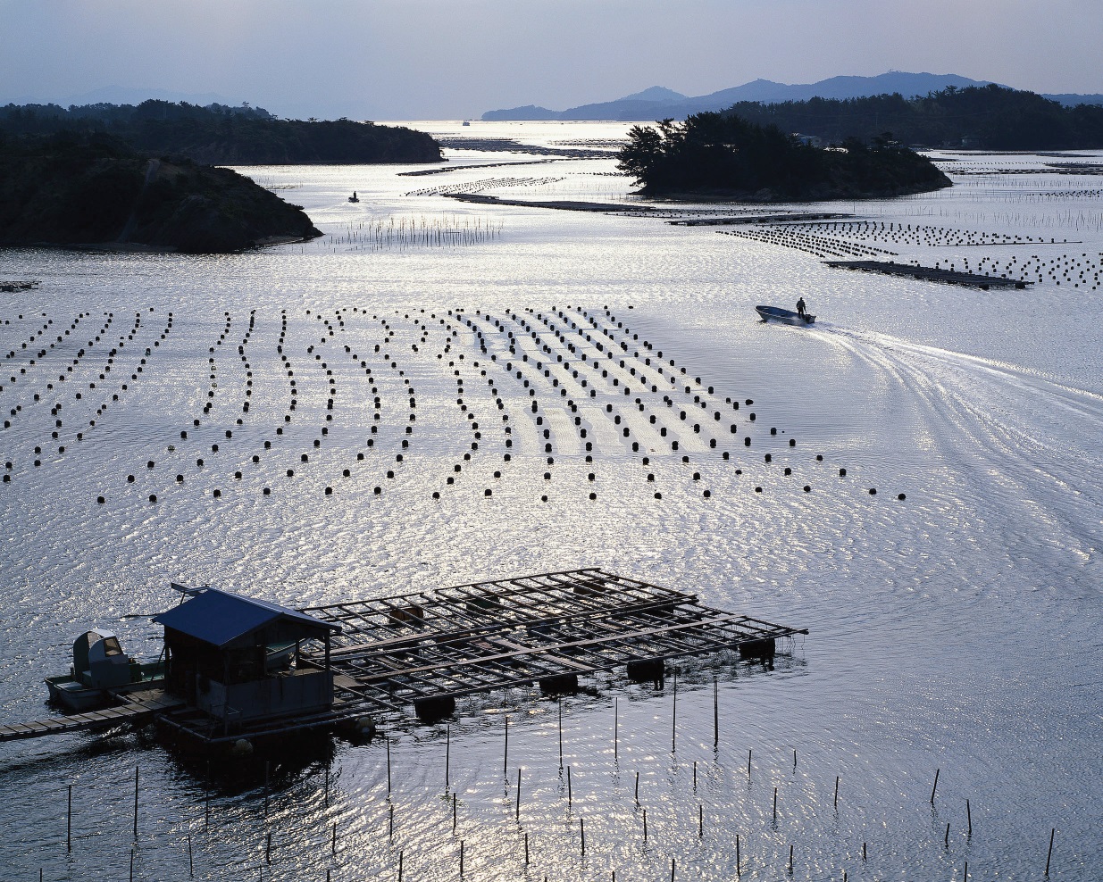 Nutritious, safe and sustainable seafood for consumers of tomorrow