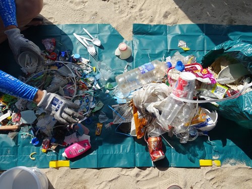 Beach litter in Vanuatu