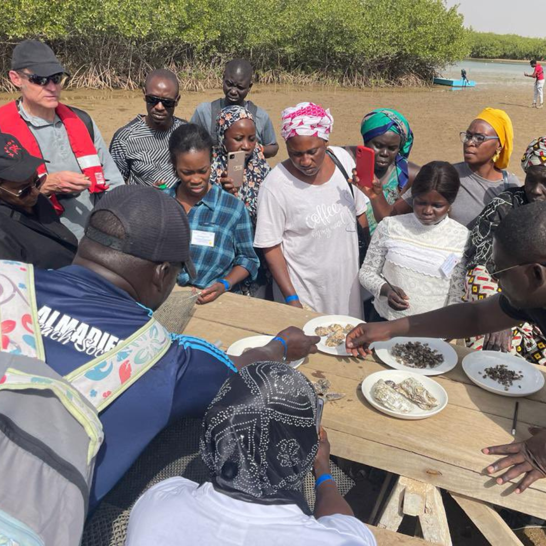 A group of people standing around a table with four plates on it with different items on the plates. One man is wearing a lifejacket and leading a conversation