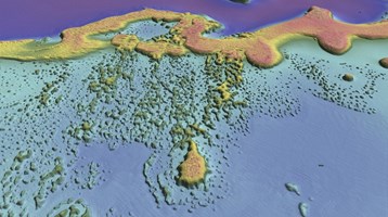computer model of sea bed