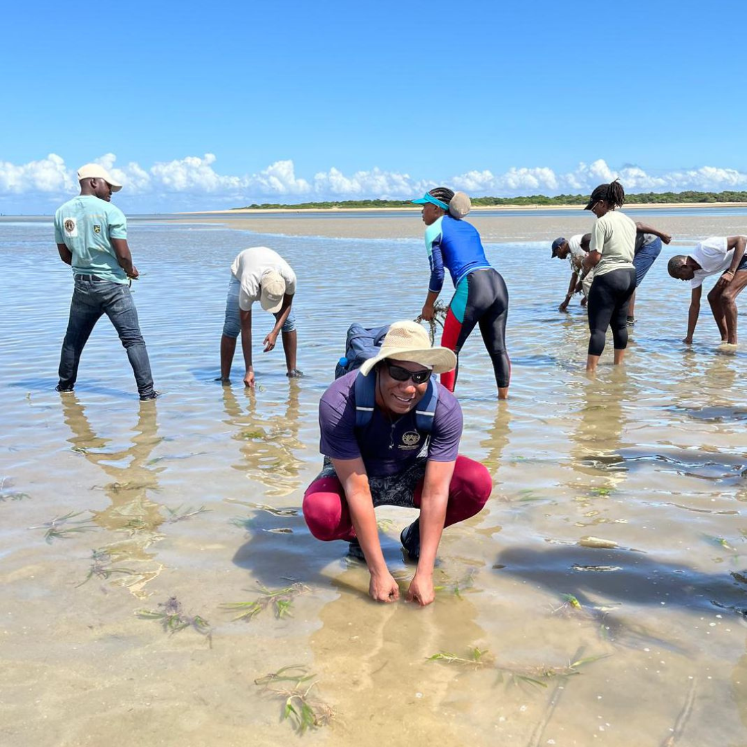 a man is squatting in shallow water with small aquatic plants floating scarcely around him, in front of a group of people standing in the water collecting these plants