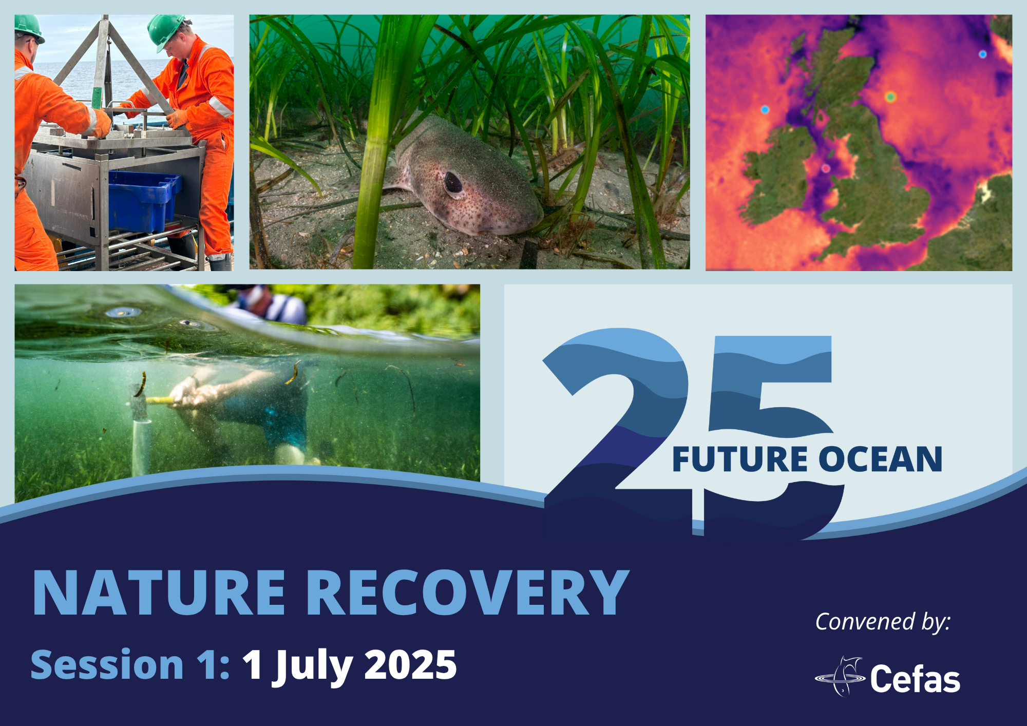 Advertising tile including images related to the theme of nature recovery