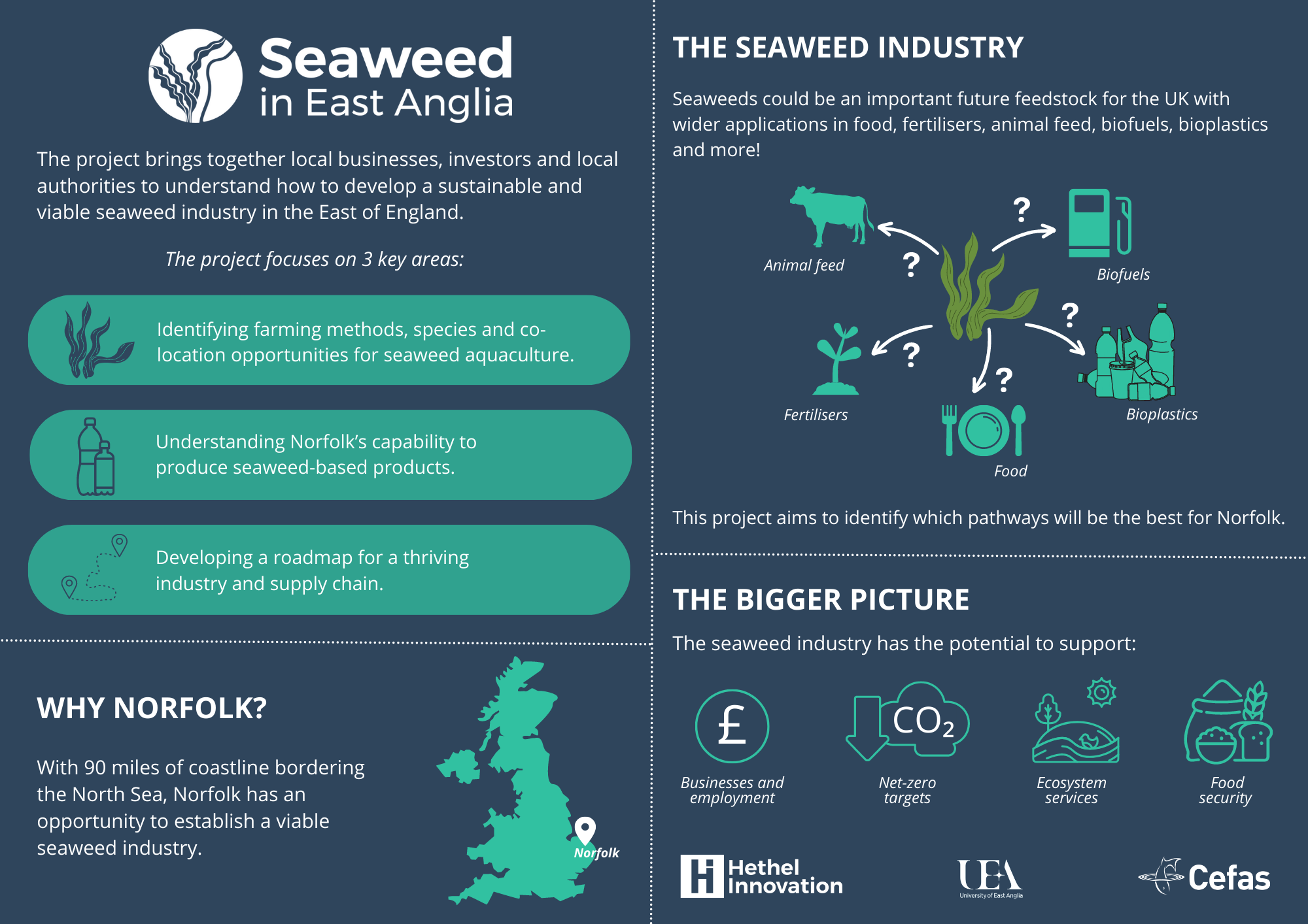 Seaweed in East Anglia project infographic - Credit: Cefas
