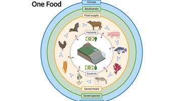 Diagram to show One Health interactions to support a One Food approach to food production