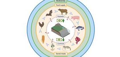 Diagram to show One Health interactions to support a One Food approach to food production