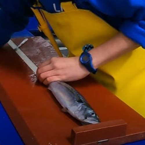 Measuring fish