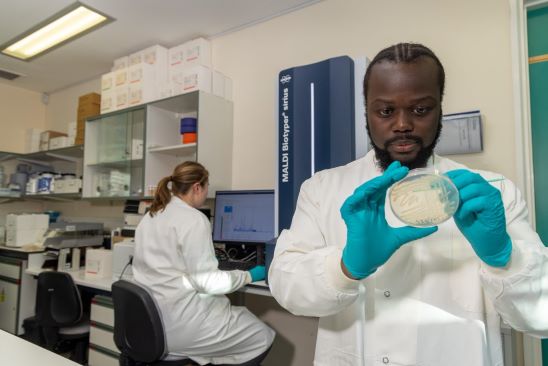 One person looking at a petri dish and another person on a computer