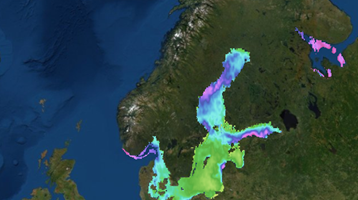 Pathogenic Vibrios – The Microbial Barometer of Climate Change