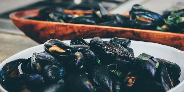 bowl of cooked mussels