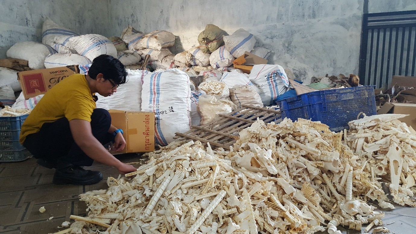 staff inspecting a pile of fins