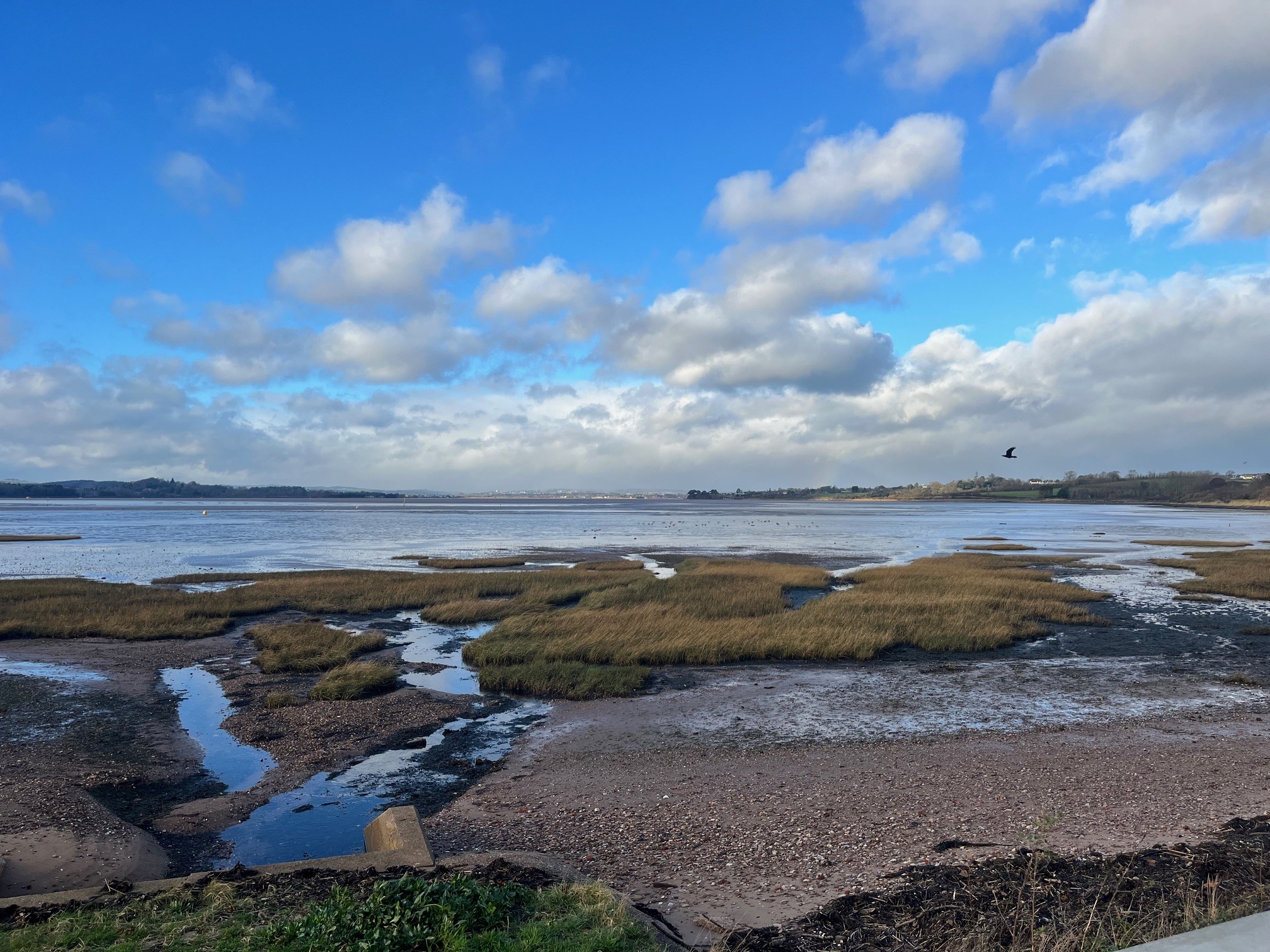 an estuary at low tide with mud flats and seaweed