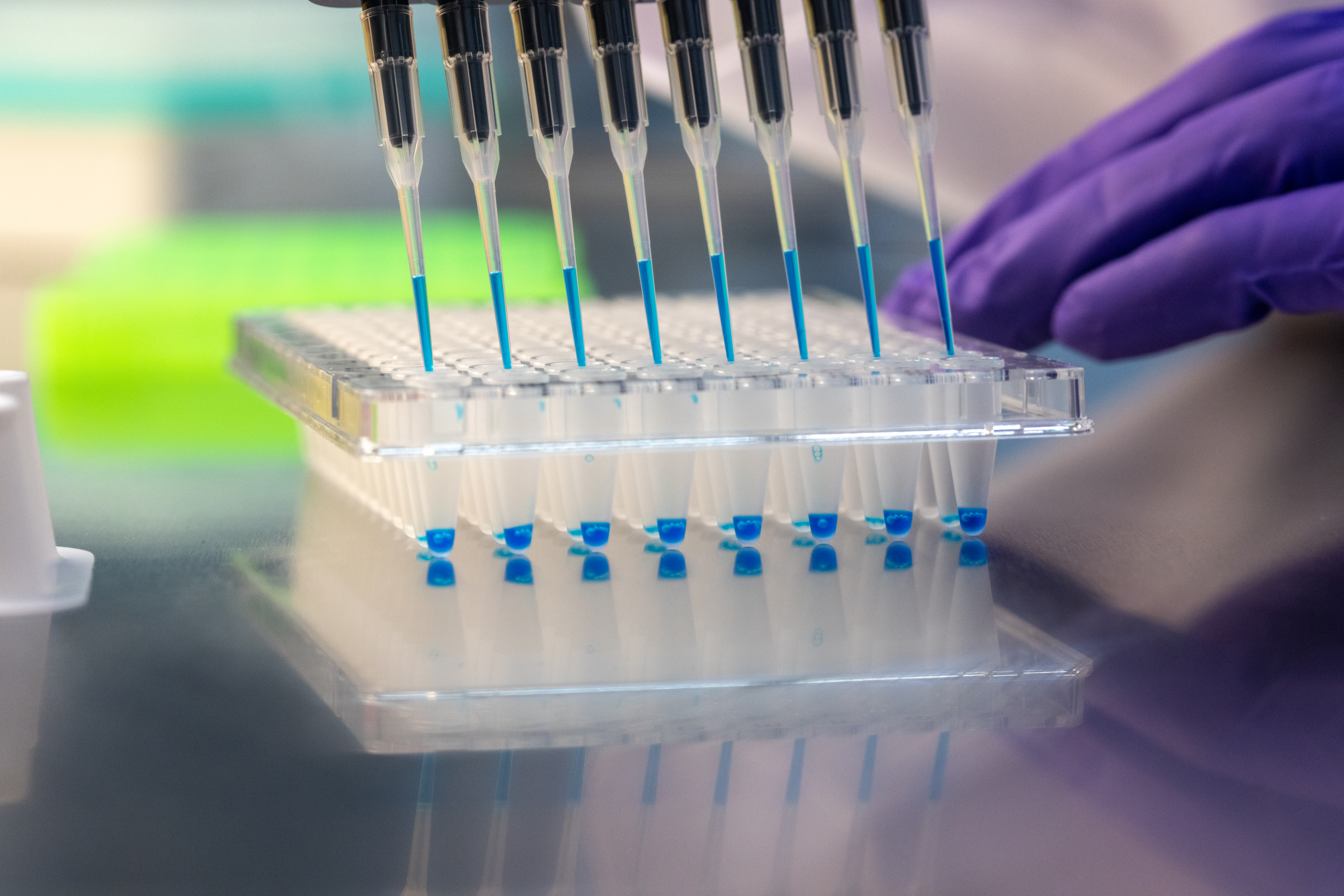 Pipettes with blue liquid