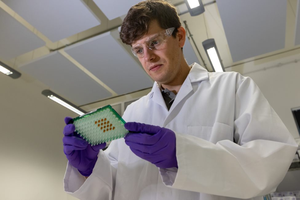 A person looking at test tubes