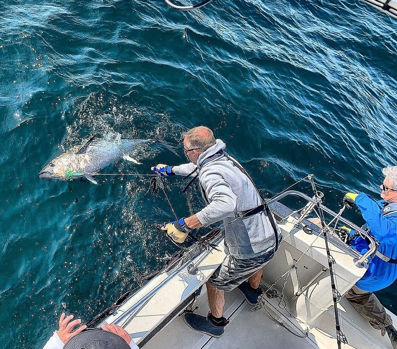 Angler catching a Bluefin Tuna on board True Blue in 2021 © Steve Porter