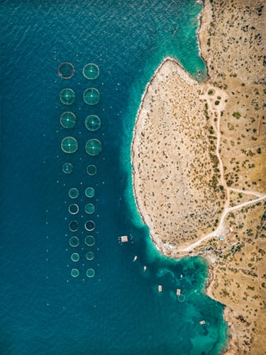 aerial of fish farm