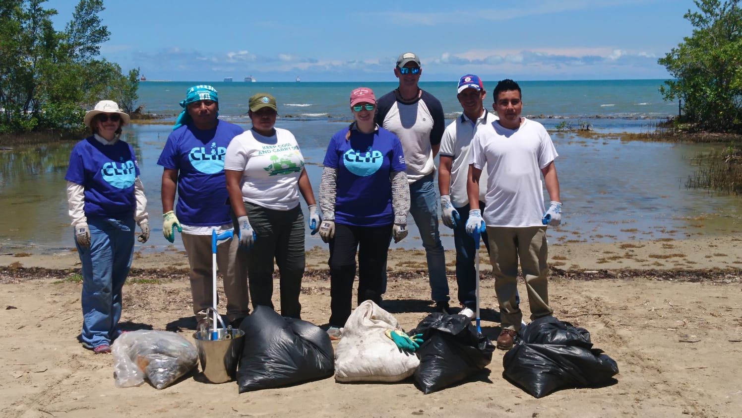 seven people on a beach with bags of litter