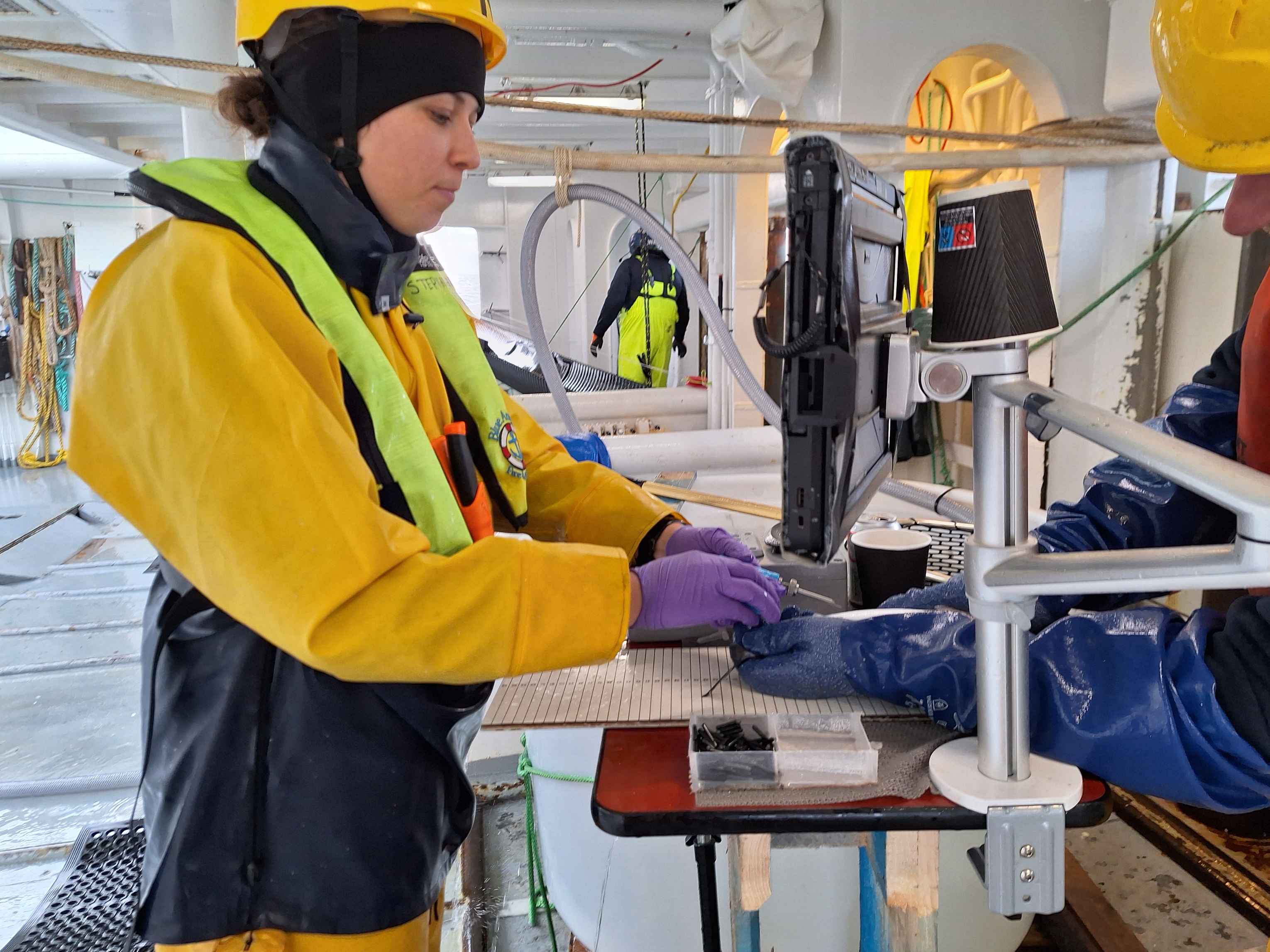 A person in PPE placing a tag in a fish