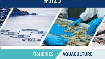 Seafood innovation conference infographic