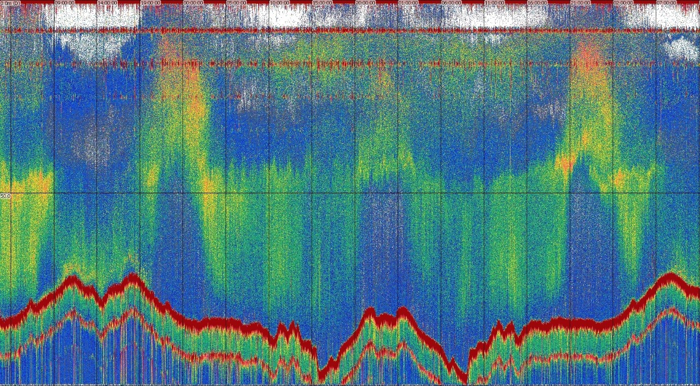 an echogram showing lines representing acoustic data