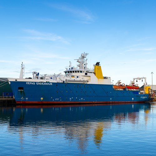 Cefas Shellfish Collection Cefas Careers Resources - Cefas (Centre for Environment, Fisheries and ...