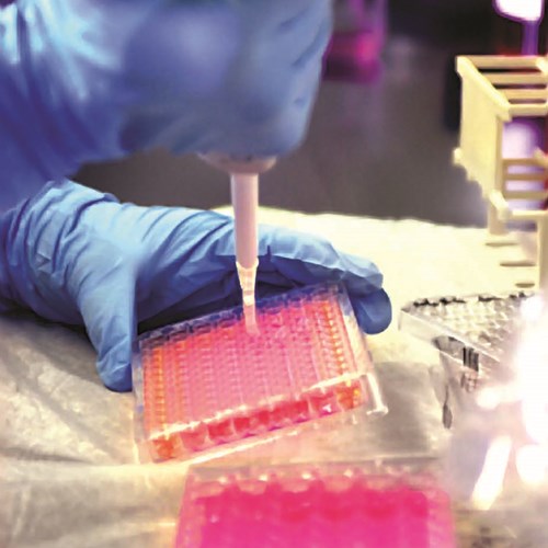 a person pipetting liquid into tubes