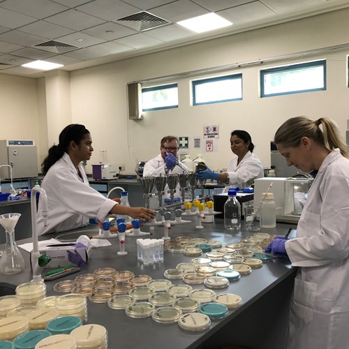 Overseas lab AMR training