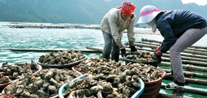 shellfish farmers