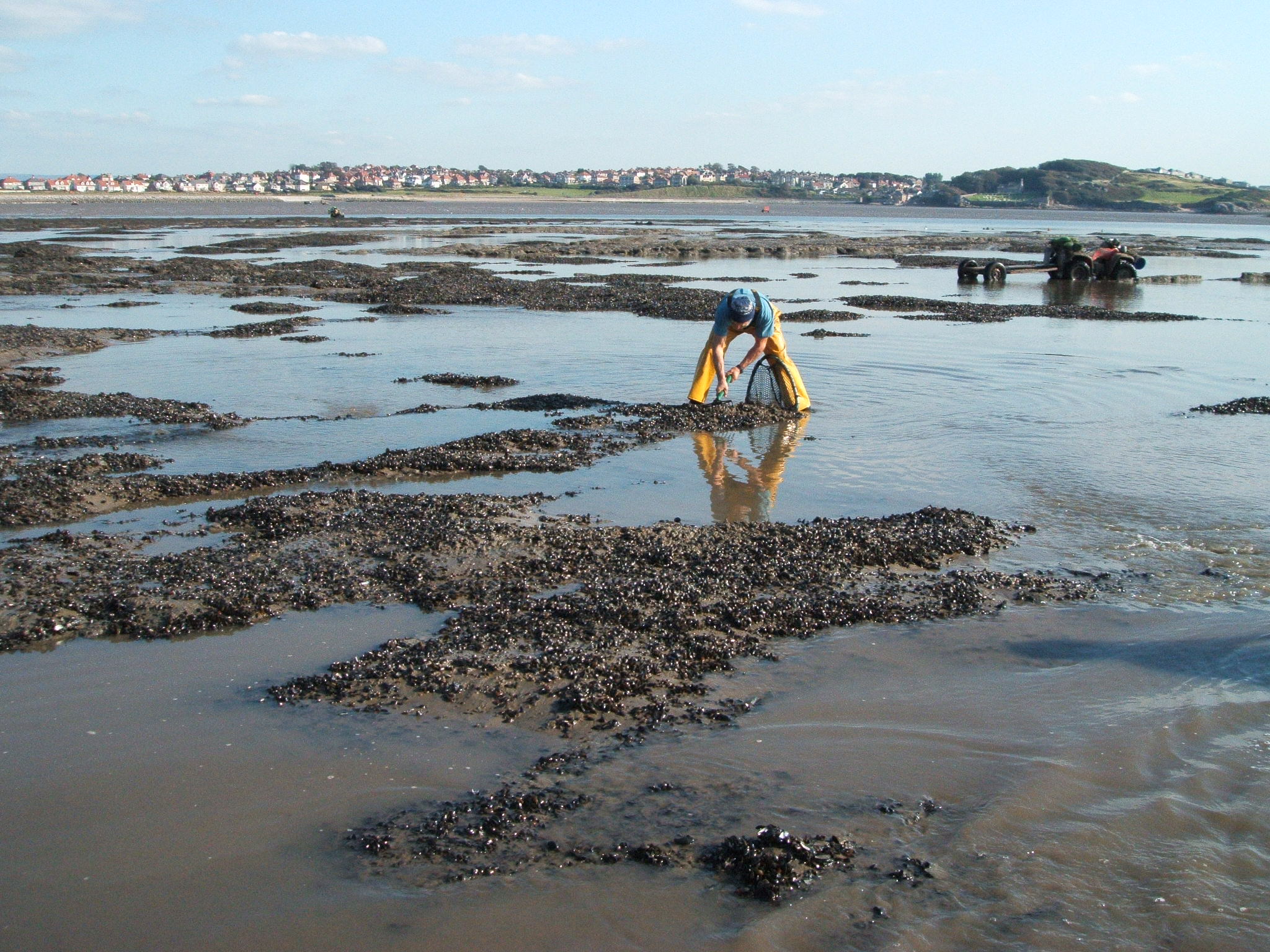 man collecting sediment from a muddy landscape