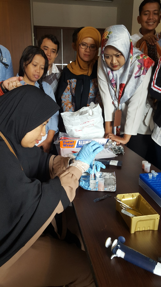 Safeguarding international trade in threatened shark species in Indonesia