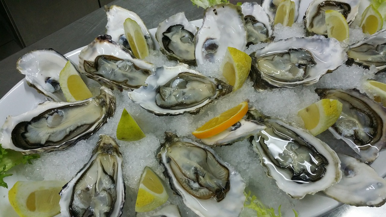 oysters