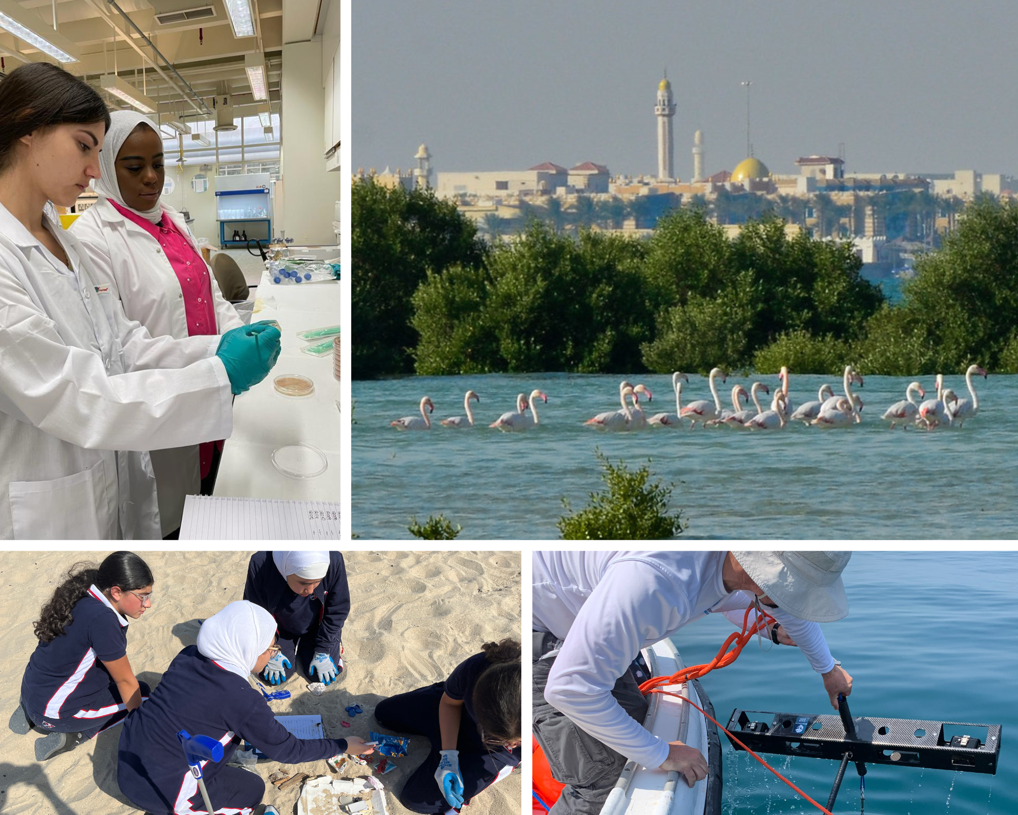 Ten years of science diplomacy in the Middle East