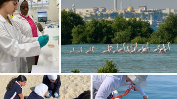 Ten years of science diplomacy in the Middle East