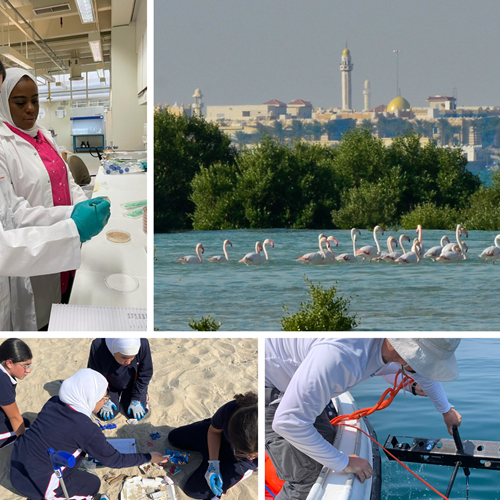 Ten years of science diplomacy in the Middle East