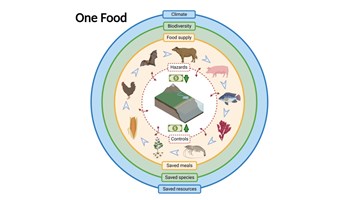 One Food Programme: key achievements and impact