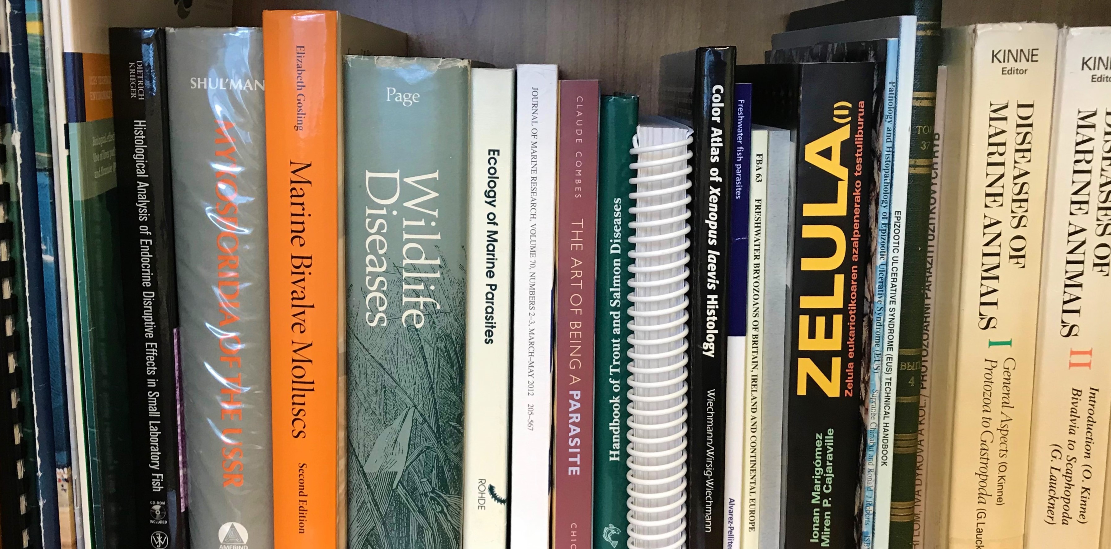 books on shelf